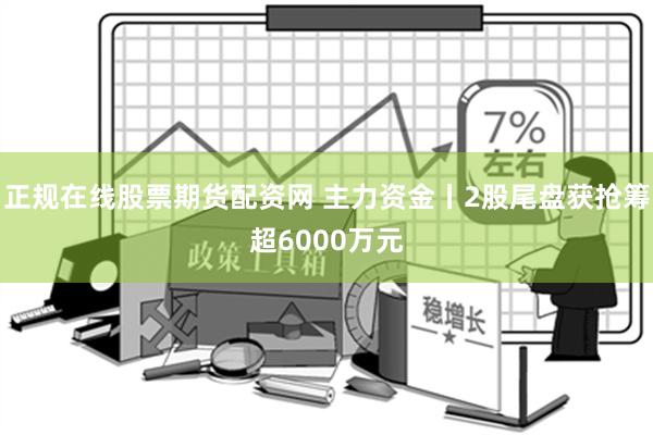 正规在线股票期货配资网 主力资金丨2股尾盘获抢筹超6000万元