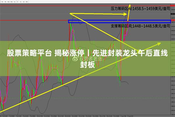 股票策略平台 揭秘涨停丨先进封装龙头午后直线封板