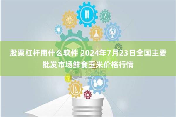 股票杠杆用什么软件 2024年7月23日全国主要批发市场鲜食玉米价格行情