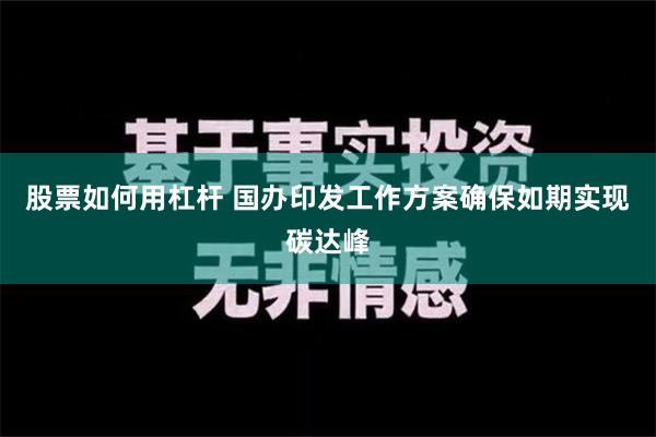 股票如何用杠杆 国办印发工作方案确保如期实现碳达峰